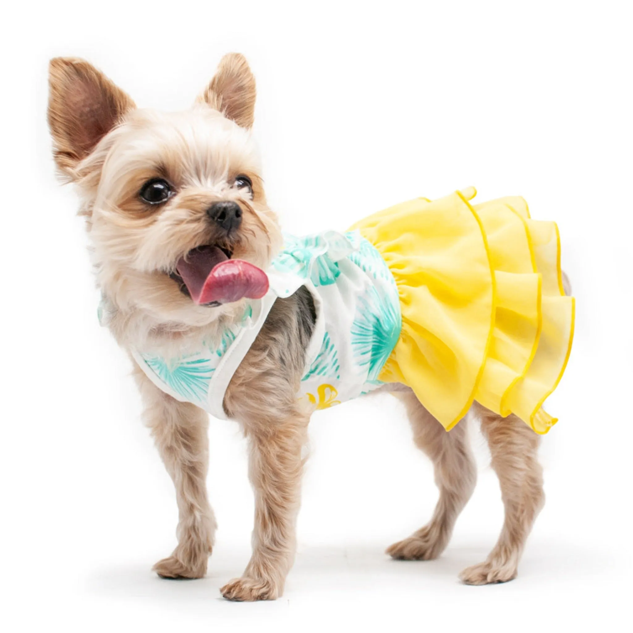 Leafy Dog Dress